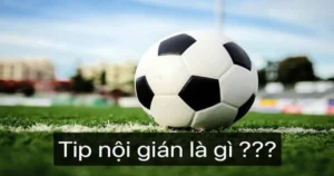 Các khái niệm cơ bản về soi kèo nội gián