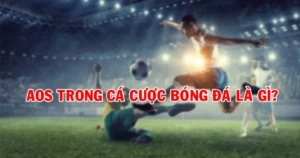 Aos trong cá cược là gì? Tính năng của Aos trong lĩnh vực cá cược