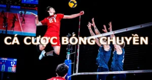 Các loại cược bóng chuyền phổ biến và cách thức đặt cược